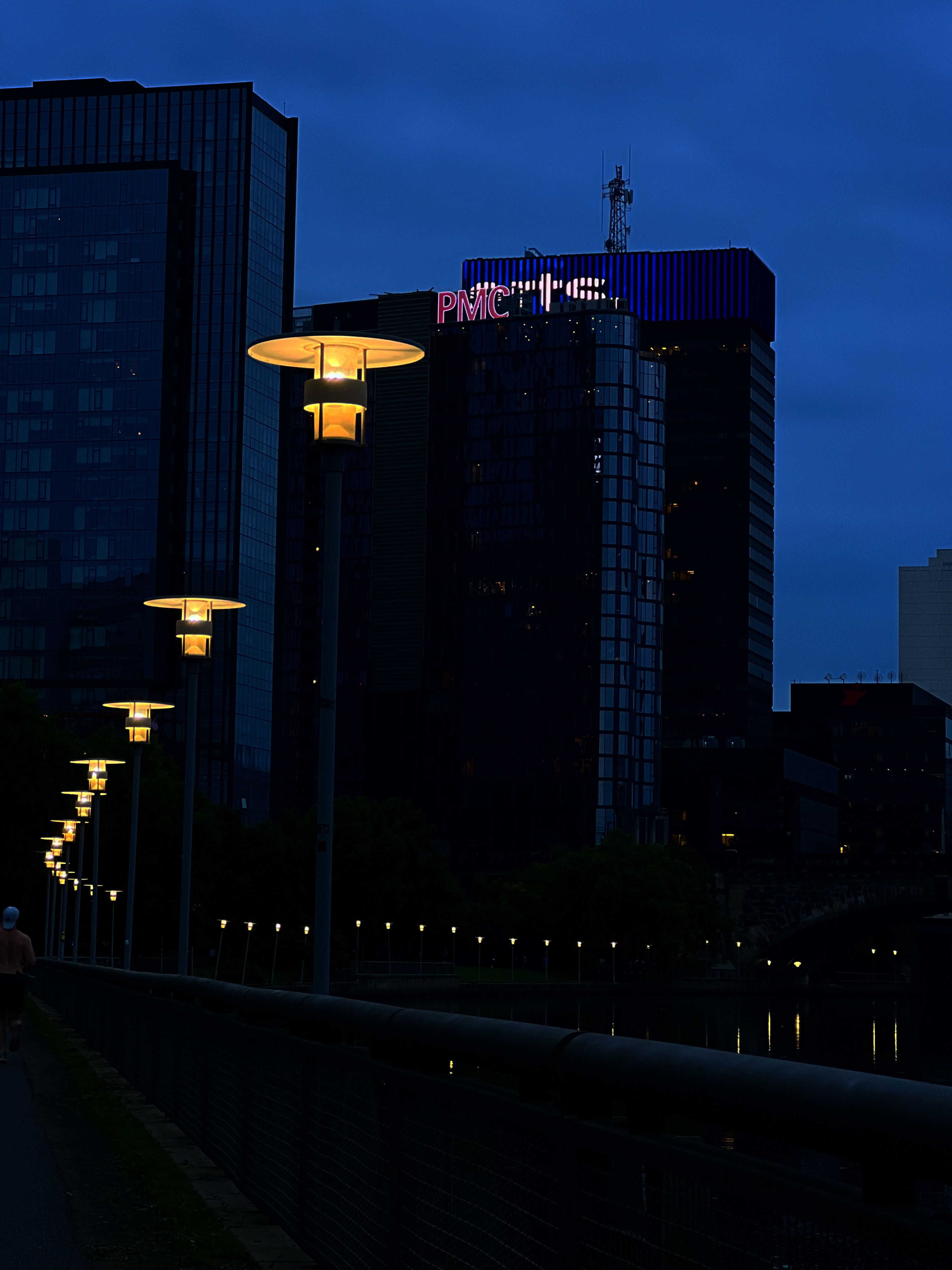 Schuylkill at Night
